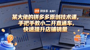 某大佬的拼多多原创技术课，手把手教小二开直通车，快速提升店铺销量-菠萝头