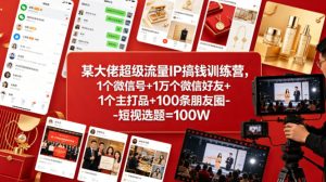 某大佬超级流量IP搞钱训练营，1个微信号+1万个微信好友+1个主打品+100条朋友圈-短视选题=100W-菠萝头
