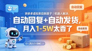 拼多多虚拟类目新路子｜机器人解决，自动回复+自动发货，月入1-5W太香了【揭秘】-菠萝头