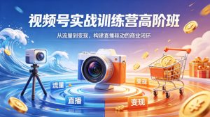 视频号实战训练营高阶班，从流量到变现，构建直播驱动的商业闭环（26年4月）-菠萝头