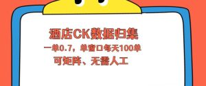 上班也能玩的酒店CK数据归集，一单0.7单窗口每天可做100单，一个人就能矩阵操作【揭秘】-菠萝头