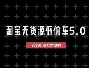 淘宝无货源价车5.0，​2026最新VIP淘宝无货源课程，1688代发，蓝海选品，零成本创业首选（更新26年4月24日）-菠萝头