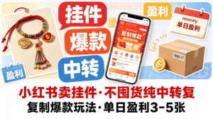 小红书卖挂件，不囤货纯中转复制爆款玩法，单日盈利3-5张-菠萝头