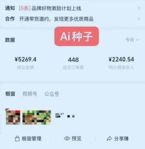 视频号AI种子带货，0粉0保证金就可做，人人能做，实操日入1k+-菠萝头