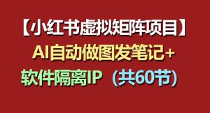 小红书虚拟矩阵项目:软件隔离IP+AI自动做图发笔记(共60节)-菠萝头