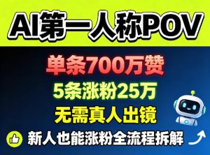 AI第一人称POV，单条700W赞，5条涨粉25W，无需真人出镜，新人也能涨粉全流程拆解-菠萝头