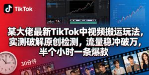 某大佬最新TikTok中视频搬运玩法,实测破解原创检测,流量稳冲破万,半个小时一条爆款-菠萝头