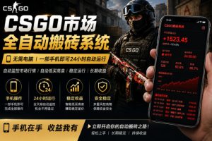 24小时自动监控CS饰品市场,手机即可完成全部操作实现自动搬砖盈利,日入300+【揭秘】-菠萝头