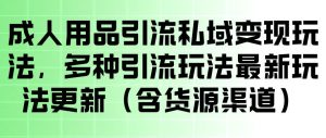 成人用品引流私域变现玩法，多种引流玩法最新玩法，操作简单（含货源渠道）-菠萝头