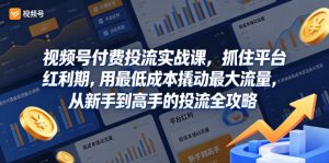 视频号付费投流实战课，抓住平台红利期，用最低成本撬动最大流量，从新手到高手的投流全攻略-菠萝头