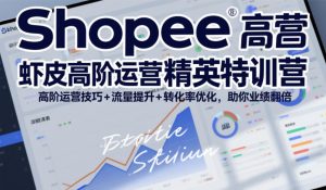 Shopee虾皮高阶运营精英特训营,高阶运营技巧+流量提升+转化率优化,助你业绩翻倍(更新26年5月)-菠萝头
