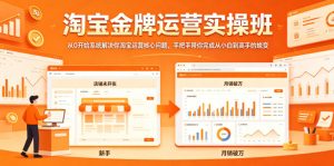 淘宝金牌运营实操班，从0开始系统解决你淘宝运营核心问题，手把手带你完成从小白到高手的蜕变-菠萝头