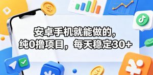 安卓手机就能做的,纯0撸项目,每天稳定30+-菠萝头