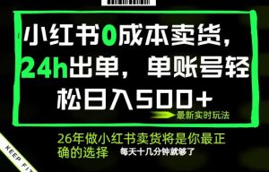 小红书0成本AI卖货,24小时出单,全流程托管,保底日入500+,每天十几分钟就够了【揭秘】-菠萝头