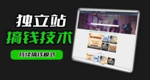 干货来袭!麦子甜带你吃透独立站|从搭建到引流一站式教学《独立站》第一期-菠萝头