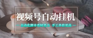 视频号自动挂G项目，自动化脚本省时省力，手工单价更高，日入300+全网最稳【揭秘】-菠萝头