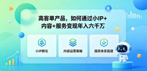 高客单产品，如何通过小IP+内容+服务变现年入六干W-菠萝头