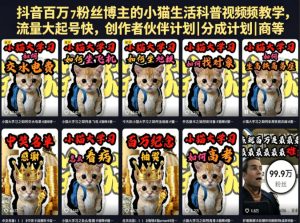 抖音百万粉丝博主的小猫生活科普视频教学，流量大起号快，创作者伙伴计划|分成计划|商单|收徒等-菠萝头