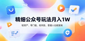 精细公众号玩法月入1W，轻资产、零门槛、低风险，普通人也能复制【揭秘】-菠萝头