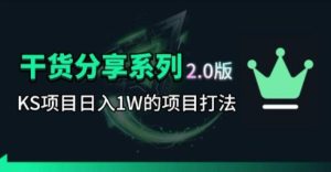 KS项目2.0期-拆本周结1W项目思路,几张图撬动流量群体,真的生猛-菠萝头