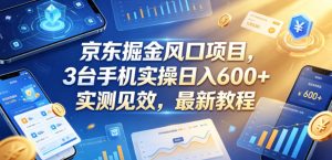 京东掘金风口项目，3台手机实操日入600+，实测见效，最新教程【揭秘】-菠萝头