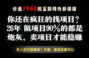 26年请不要疯狂的找项目了，卖项目远比你想象的暴利，你也可以月入10W+【揭秘】-菠萝头