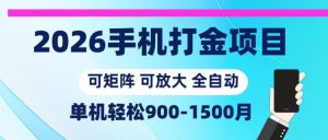 2026手机打金项目,小白轻松上手,单机900-1500月,可矩阵可放大【揭秘】-菠萝头