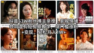 抖音53W粉丝博主亲授｜影视情绪共鸣混剪短视频教学，低门槛涨粉+变现，轻松月入1W+-菠萝头