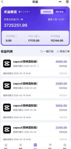 海外TikTok剪映cupcut拉新，市场广阔，潜力巨大，月入1w+，适合TK创作者的新机会-菠萝头