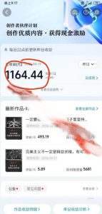 抖音某博主的创业正能量手绘素描短视频全流程教学，手把手教你做号变现，撸创作者伙伴计划收益-菠萝头