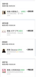 宠物托运阳光赛道賺钱教学，小众高刚需冷门项目，日均10单稳定盈利，单均利润200+-菠萝头