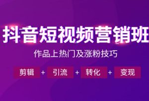 抖音短视频运营班,一门课学会作品上热门及涨粉技巧,引流转化剪辑变现(2026年5月)-菠萝头