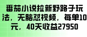 番茄小说拉新野路子玩法,无脑怼视频,玩法简单、见效快,每单10米,40天收益27950-菠萝头