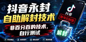 抖音永封自助解封技术,非百分百的技术,自行测试-菠萝头