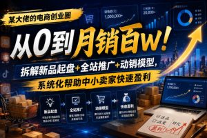 某大佬的电商创业圈从0到月销百W!拆解新品起盘+全站推广+动销模型,系统化帮助中小卖家快速盈利-菠萝头