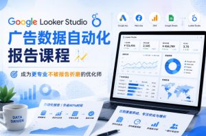 Google Looker Studio广告数据自动化报告课程,成为更专业不被报告折磨的优化师-菠萝头