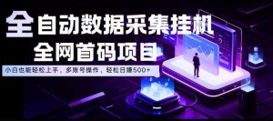 全自动数据采集挂G,全网首码项目,简单易操作,小白也能轻松上手,多账号操作,轻松日入500+【揭秘】-菠萝头