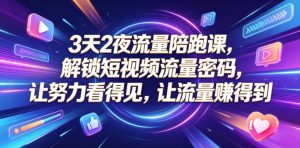 3天2夜流量陪跑课，解锁短视频流量密码，让努力看得见，让流量賺得到-菠萝头
