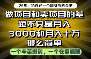 做项目和卖项目不只是月入3K和10W那么简单,一个努力搬砖,一个在家躺賺【揭秘】-菠萝头