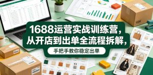 1688运营实战训练营,从开店到出单全流程拆解,手把手教你稳定出单(更新0620)-菠萝头