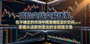 高阶实战交易体系,在不确定的市场中精准捕捉溢价空间,掌握从选股到卖出的全链路交易心法(更新6月)-菠萝头