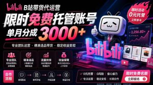 B站带货代运营项目,你只需提供账号,全程托管,轻松月入1w+【揭秘】-菠萝头