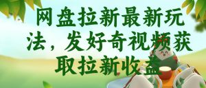 网盘拉新最新玩法，发好奇视频获取拉新收益，抖音收藏家玩法-菠萝头