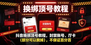 抖音换绑顶号教程,封禁账号、Ting卡(部分可以脱掉),不保证百分百-菠萝头