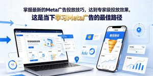 掌握最新的Meta广告投放技巧,达到专家级投放效果,这是当下学习Meta广告的最佳路径【原创双语字幕】-菠萝头