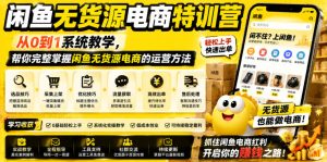 闲鱼无货源电商特训营,从0到1系统教学,帮你完整掌握闲鱼无货源电商的运营方法-菠萝头