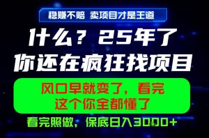 26年,请不要疯狂的找项目做了!卖项目才是真的稳賺不赔,看完照做,保底日入1k+【揭秘】-菠萝头