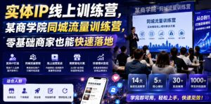 实体IP线上训练营,某商学院同城流量训练营,零基础商家也能快速落地-菠萝头