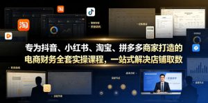 专为抖音、小红书、淘宝、拼多多商家打造的电商财务全套实操课程,一站式解决店铺取数、记账、报税全流程难题-菠萝头