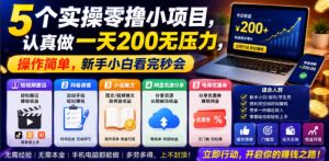 5个实操零撸小项目,认真做一天200无压力,操作简单,新手小白看完秒会【揭秘】-菠萝头